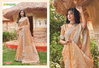 W Preet By Rajguru Cotton Work Chitt Pallu Daily Wear Saree Wholesalers In Delhi 